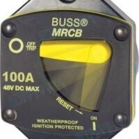 DISJONTEUR THERMIQUE 100A