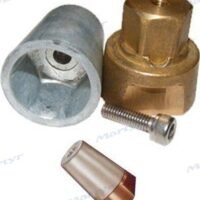 ANODE ARBRE RADICE 60MM