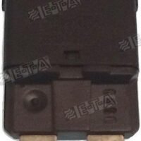 FUSIBLE THERMIQUE 15A