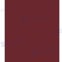 CHAUSSETTE F7 BORDEAUX - 380X1050 MM