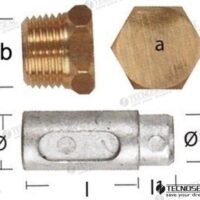 ANODE LOMBARDINI AVEC BOUCHON