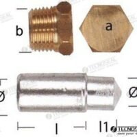 ANODE LOMBARDINI AVEC BOUCHON