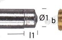 ANODE LOMBARDINI D15MM